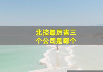 北控最厉害三个公司是哪个