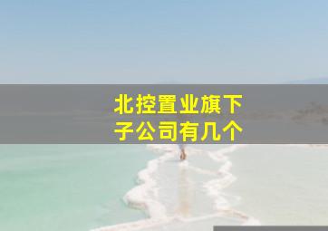 北控置业旗下子公司有几个