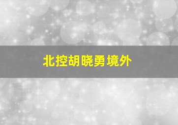 北控胡晓勇境外