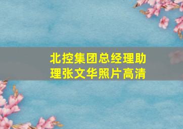 北控集团总经理助理张文华照片高清