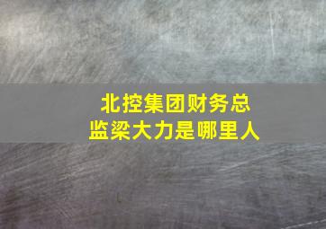 北控集团财务总监梁大力是哪里人