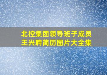 北控集团领导班子成员王兴聘简历图片大全集