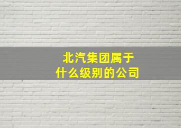 北汽集团属于什么级别的公司