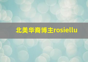 北美华裔博主rosiellu