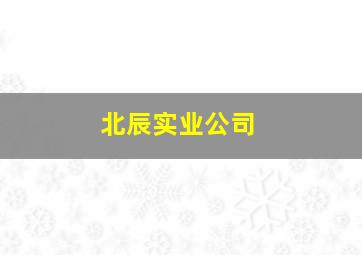 北辰实业公司