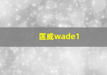 匡威wade1