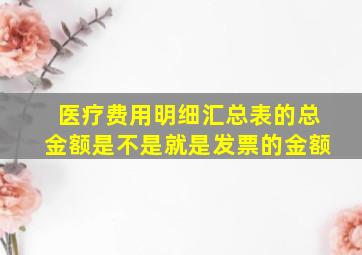 医疗费用明细汇总表的总金额是不是就是发票的金额