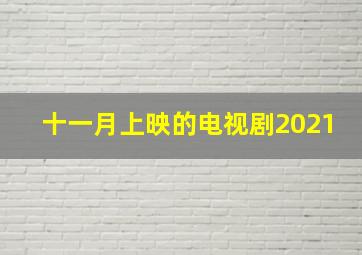 十一月上映的电视剧2021