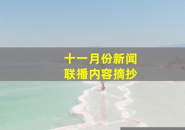 十一月份新闻联播内容摘抄