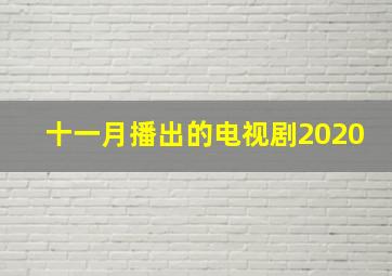 十一月播出的电视剧2020