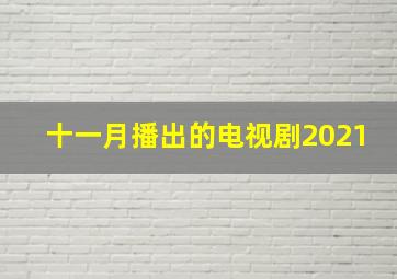 十一月播出的电视剧2021