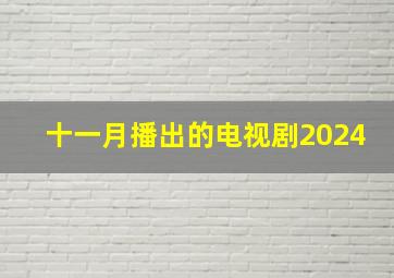 十一月播出的电视剧2024