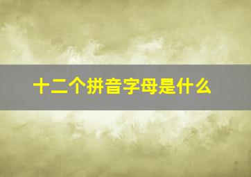 十二个拼音字母是什么