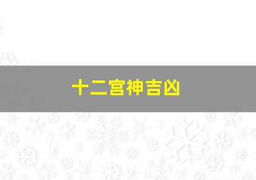 十二宫神吉凶