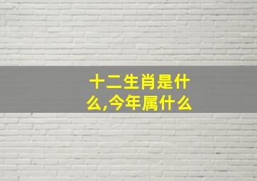 十二生肖是什么,今年属什么