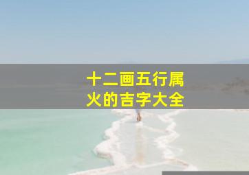 十二画五行属火的吉字大全