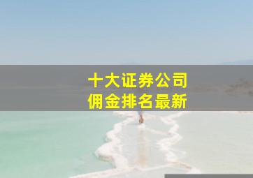 十大证券公司佣金排名最新