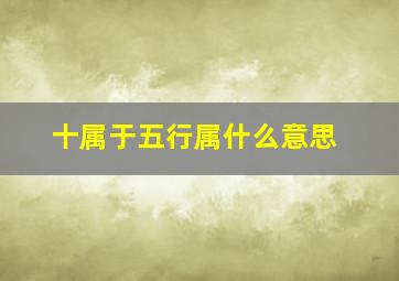 十属于五行属什么意思