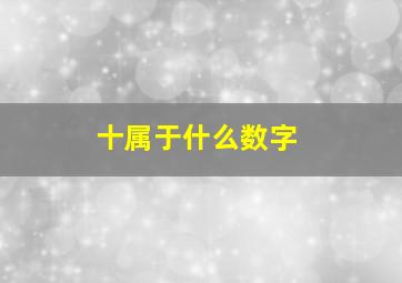 十属于什么数字