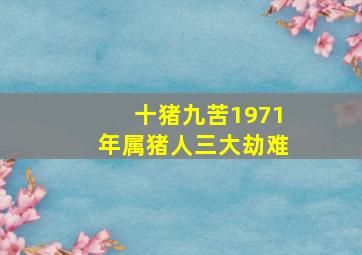 十猪九苦1971年属猪人三大劫难