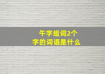 午字组词2个字的词语是什么