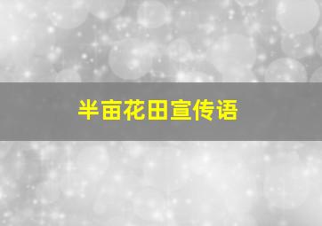 半亩花田宣传语