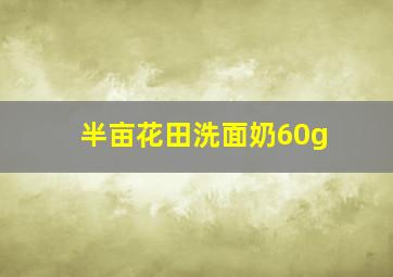 半亩花田洗面奶60g