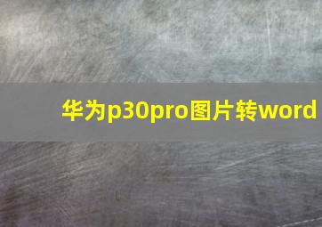 华为p30pro图片转word