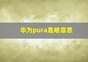 华为pura是啥意思