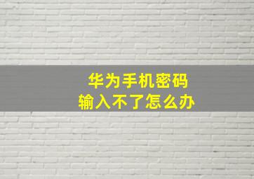 华为手机密码输入不了怎么办