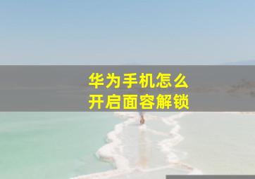 华为手机怎么开启面容解锁