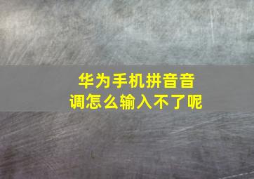 华为手机拼音音调怎么输入不了呢