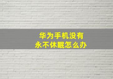 华为手机没有永不休眠怎么办