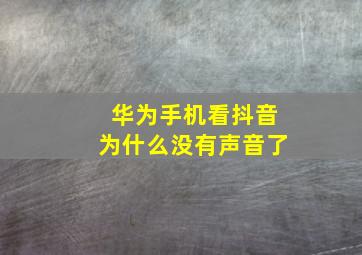 华为手机看抖音为什么没有声音了