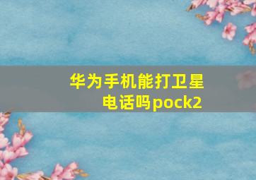 华为手机能打卫星电话吗pock2