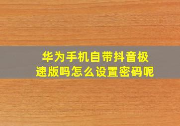 华为手机自带抖音极速版吗怎么设置密码呢