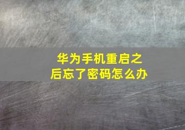 华为手机重启之后忘了密码怎么办