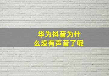 华为抖音为什么没有声音了呢