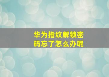 华为指纹解锁密码忘了怎么办呢