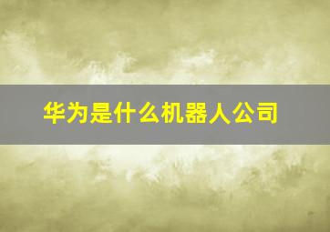 华为是什么机器人公司