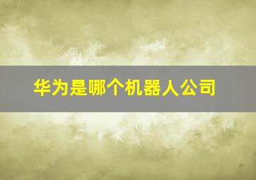 华为是哪个机器人公司