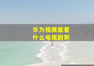 华为视频能看什么电视剧啊