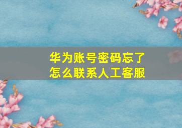 华为账号密码忘了怎么联系人工客服