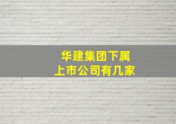 华建集团下属上市公司有几家