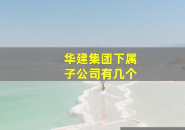 华建集团下属子公司有几个