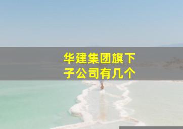 华建集团旗下子公司有几个