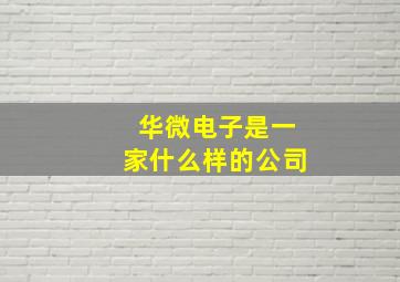 华微电子是一家什么样的公司