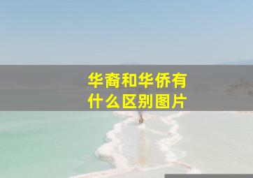 华裔和华侨有什么区别图片