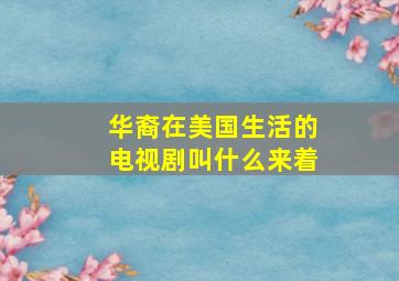 华裔在美国生活的电视剧叫什么来着