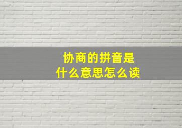 协商的拼音是什么意思怎么读